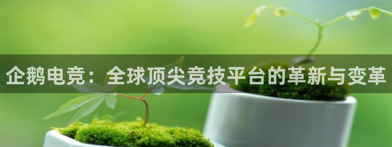 ky电竞：企鹅电竞：全球顶尖竞技平台的革新与变革