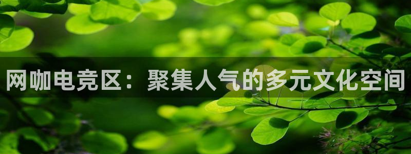 ky电竞馆：网咖电竞区：聚集人气的多元文化空间