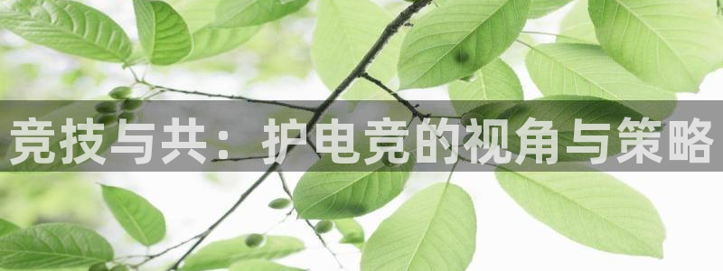 ky电竞馆：竞技与共：护电竞的视角与策略