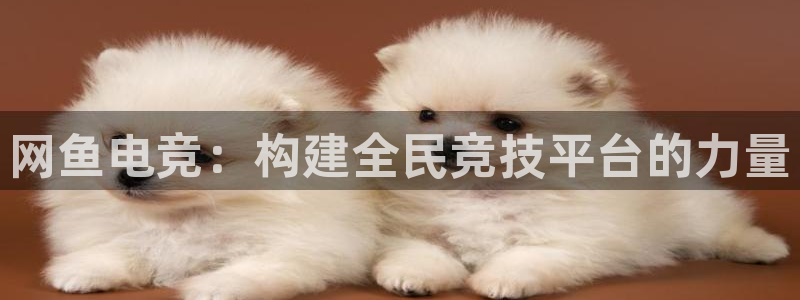 ky开元电竞：网鱼电竞：构建全民竞技平台的力量