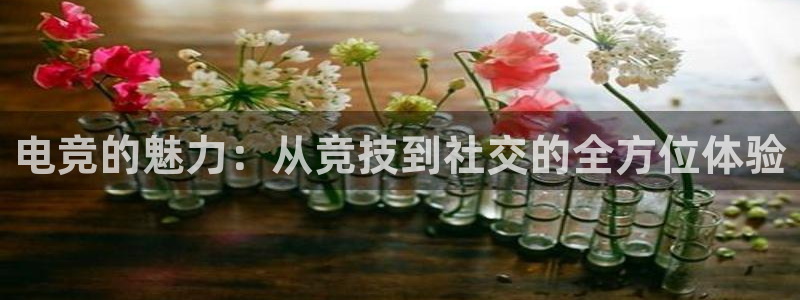 ky电竞馆：电竞的魅力：从竞技到社交的全方位体验
