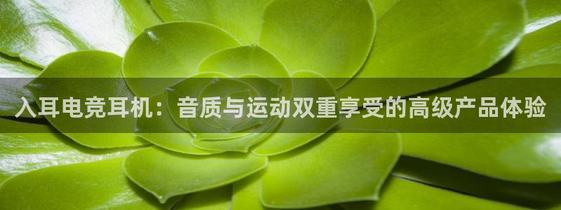 ky开元电竞：入耳电竞耳机：音质与运动双重享受的高级产品体验