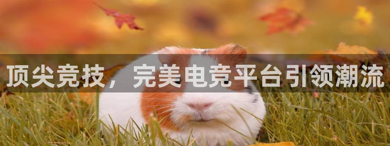 ky电竞：顶尖竞技，完美电竞平台引领潮流